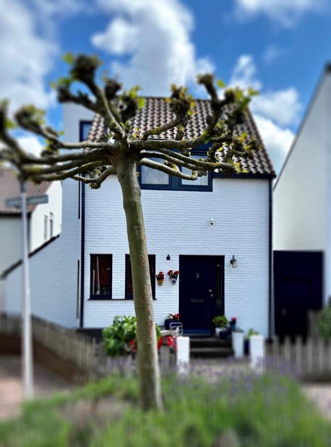 Continentaiz Appartement Zandvoort Exteriör bild