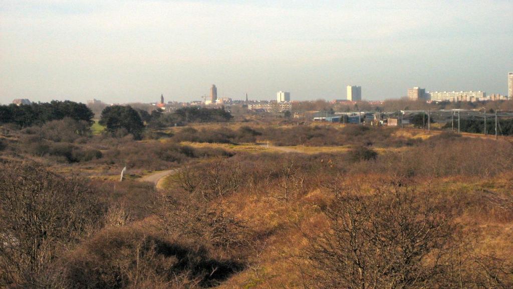 Continentaiz Appartement Zandvoort Exteriör bild